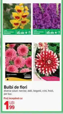 Bulbi de flori