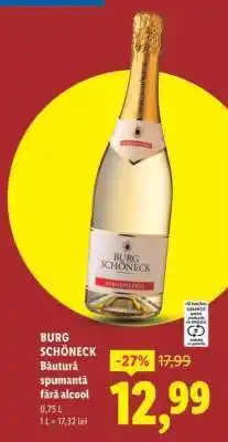 Lidl Burg Schöneck Ofertă