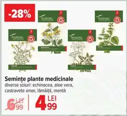 Carrefour Semințe plante medicinale Ofertă