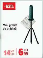 Carrefour Mini greblă de grădină Ofertă