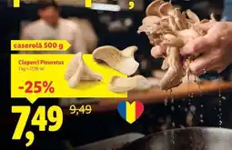Lidl Ciuperci Pleurotus Ofertă