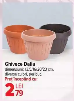 Carrefour Ghivece Dalia Ofertă