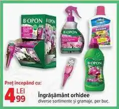 Carrefour Îngrășământ orhidee Ofertă