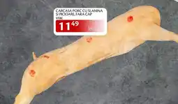 Unicarm Carcasa porc cu slanina si picioare, fara cap vrac Ofertă