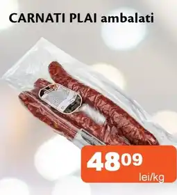 Unicarm Carnati plai ambalati Ofertă