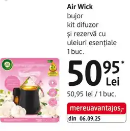 DM Air Wick bujor kit difuzor şi rezervă cu uleiuri esențiale Ofertă