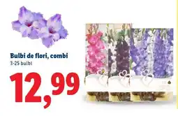 Lidl Bulbi de flori, combi Ofertă