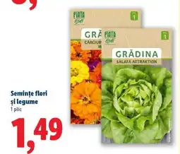 Lidl Semințe flori și legume Ofertă