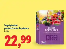 Lidl Îngrășământ pentru fructe de pădure Ofertă