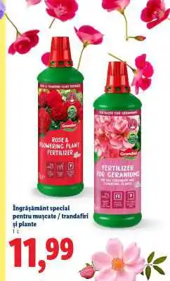 Lidl Îngrășământ special pentru mușcate / trandafiri și plante Ofertă
