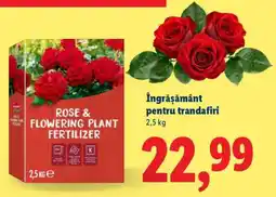 Lidl Îngrășământ pentru trandafiri Ofertă