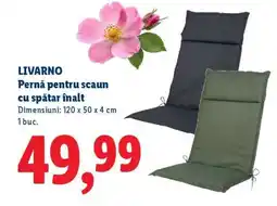 Lidl LIVARNO Pernă pentru scaun cu spătar înalt Ofertă