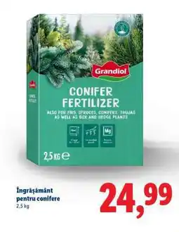 Lidl Îngrășământ pentru conifere Ofertă