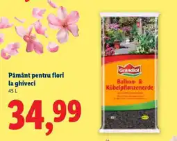 Lidl Pământ pentru flori la ghiveci Ofertă