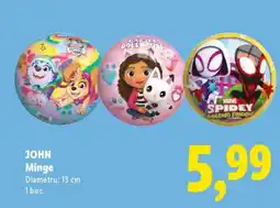 Lidl JOHN Minge Ofertă