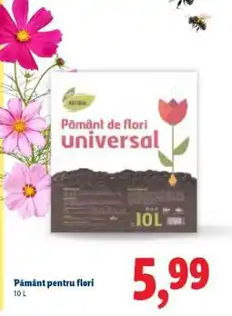 Lidl Pământ pentru flori Ofertă