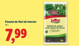 Lidl Pământ de flori de interior Ofertă