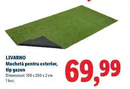 Lidl LIVARNO Mochetă pentru exterior, tip gazon Ofertă
