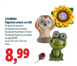 Lidl LIVARNO Figurină solară cu LED Ofertă