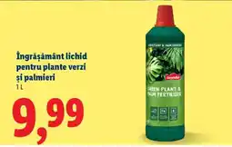 Lidl Îngrășământ lichid pentru plante verzi și palmieri Ofertă