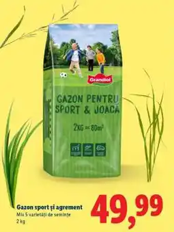 Lidl Gazon sport și agrement Ofertă