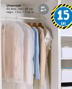 TEDI Umerase Ofertă