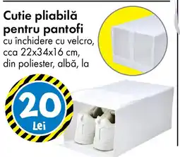 TEDI Cutie pliabilă pentru pantofi Ofertă