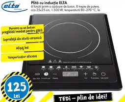 TEDI Plită cu inducție ELTA Ofertă