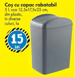 TEDI Coș cu capac rabatabil Ofertă