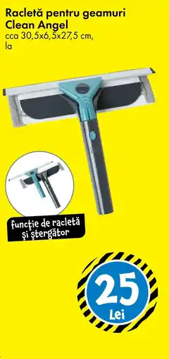 TEDI Racletă pentru geamuri Clean Angel Ofertă