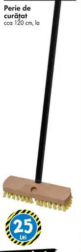 TEDI Perie de curătat Ofertă