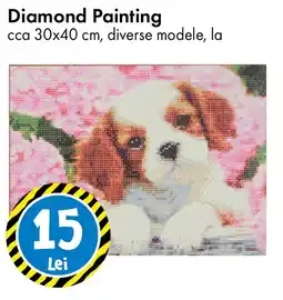 TEDI Diamond Painting Ofertă