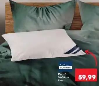 Kaufland Pernă Ofertă