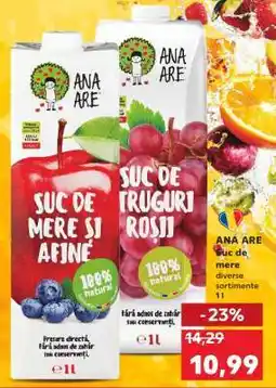 Kaufland ANA ARE Suc de mere Ofertă