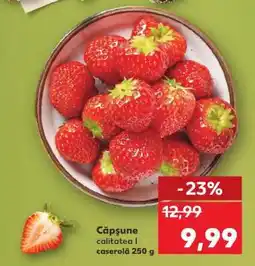 Kaufland Căpşune Ofertă