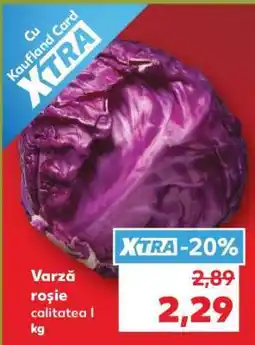 Kaufland Varză roşie Ofertă