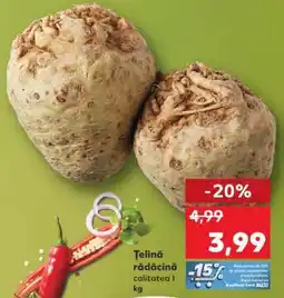 Kaufland Ţelină rădăcină Ofertă