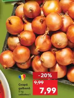 Kaufland Ceapă galbenă Ofertă