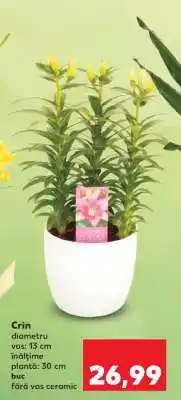 Kaufland Crin Ofertă