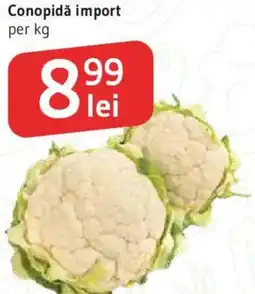 Supeco Conopidă import Ofertă