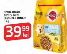 Supeco Hrană uscată pentru câini PEDIGREE JUNIOR Ofertă