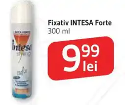 Supeco Fixativ INTESA Forte Ofertă