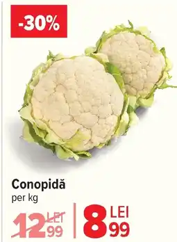 Carrefour Market Conopidă Ofertă