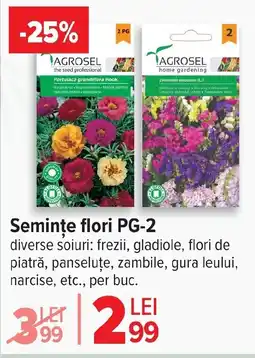 Carrefour Market Seminte flori PG-2 Ofertă