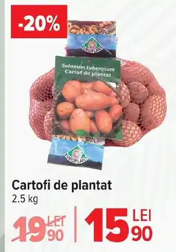 Carrefour Market Cartofi de plantat Ofertă
