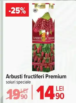 Carrefour Market Arbusti fructiferi Premium Ofertă