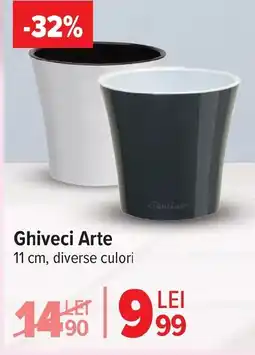 Carrefour Market Ghiveci Arte Ofertă