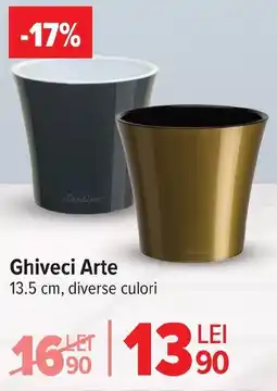 Carrefour Market Ghiveci Arte Ofertă