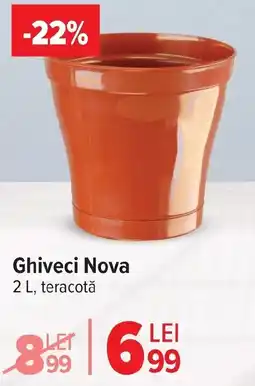 Carrefour Market Ghiveci Nova Ofertă