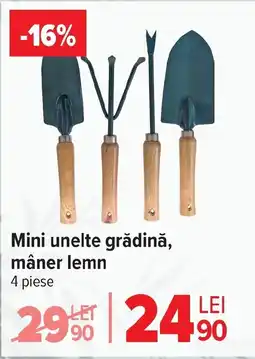 Carrefour Market Mini unelte grădină, mâner lemn Ofertă